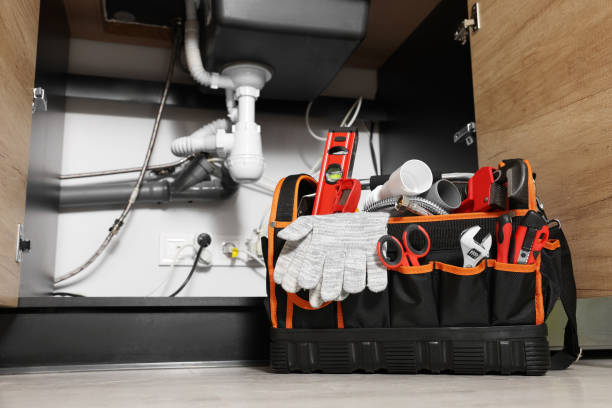 Best Plumbing Services Near Me  in Cedar Grove, WI