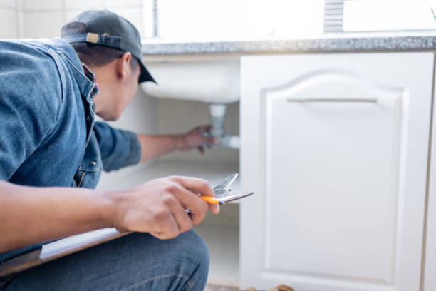 Best Clogged Drain Plumber  in Cedar Grove, WI
